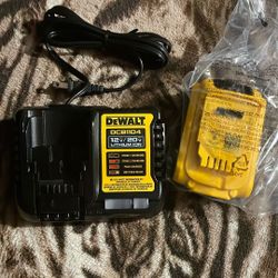 Dewalt 20v XR lithium Ion 5 Ah Battery With Charger DCB1104