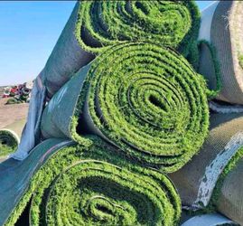 alpine- used synthetic turf