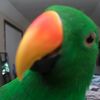 Craig
