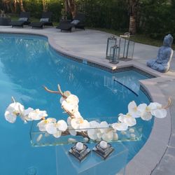 Flower arrangements