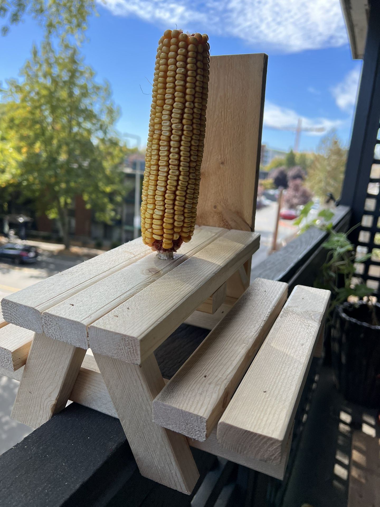 Squirrel Picnic Table Feeder