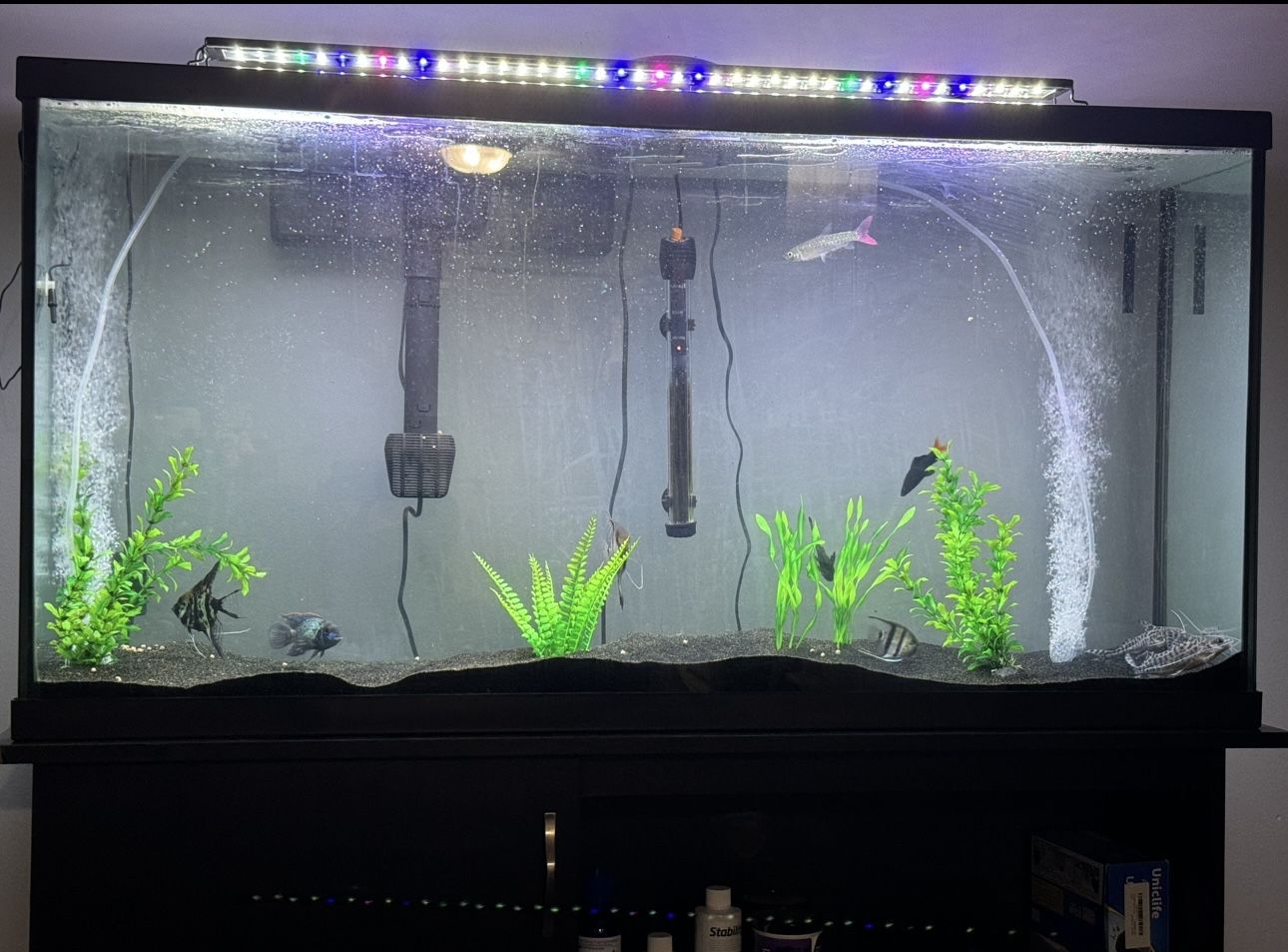 60 Gallon Fish Tank Aquarium