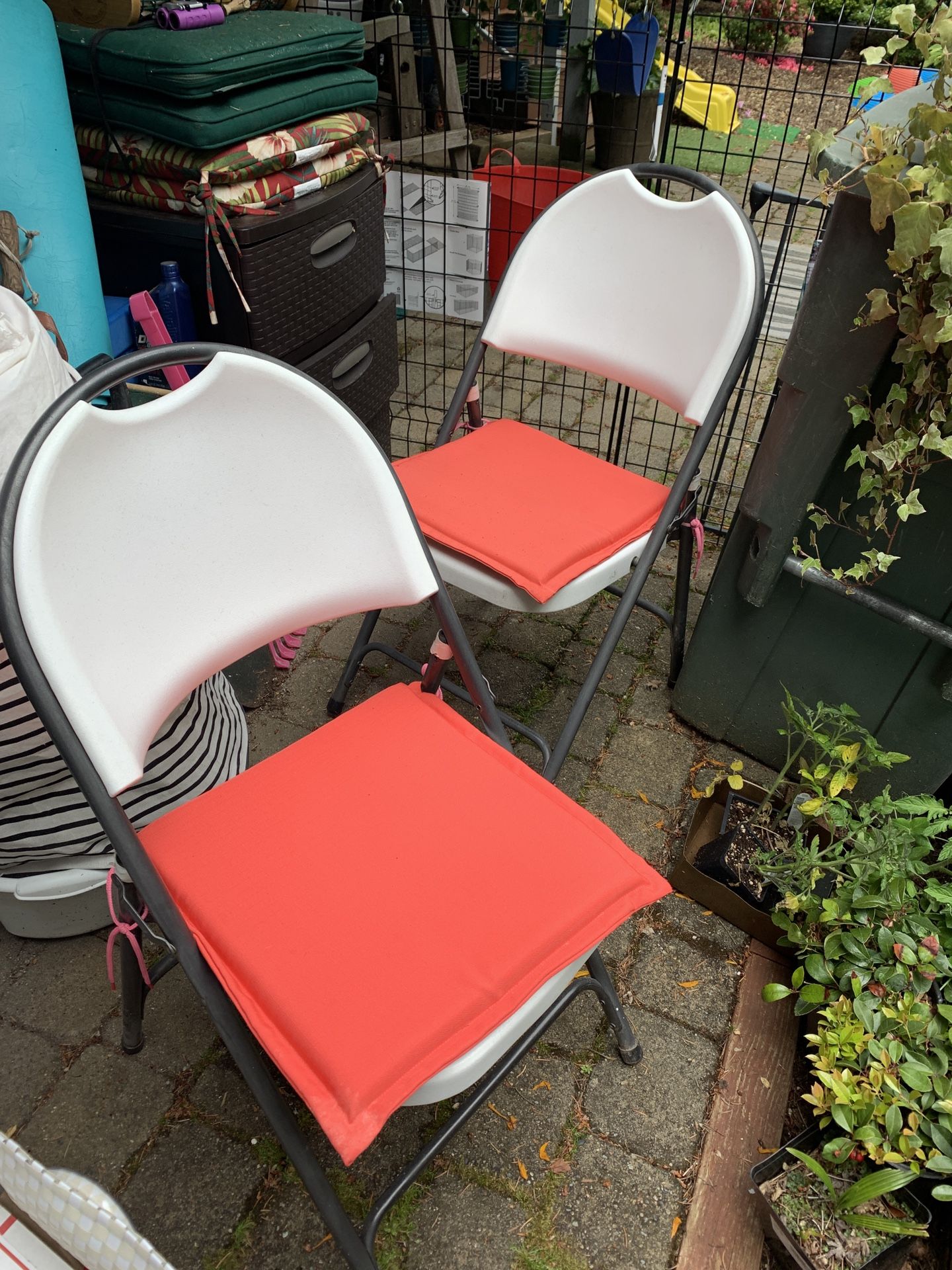 Two Folding Chairs With Cushions 