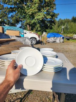 6 1/4" plates