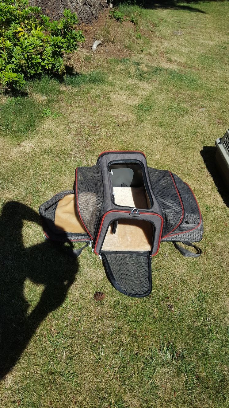 Small dog and a cat beds and carriers
