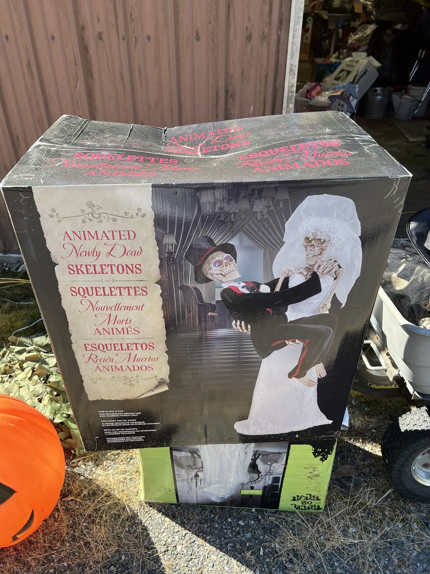Animatronic Skeletons Newly Dead Halloween New In Box