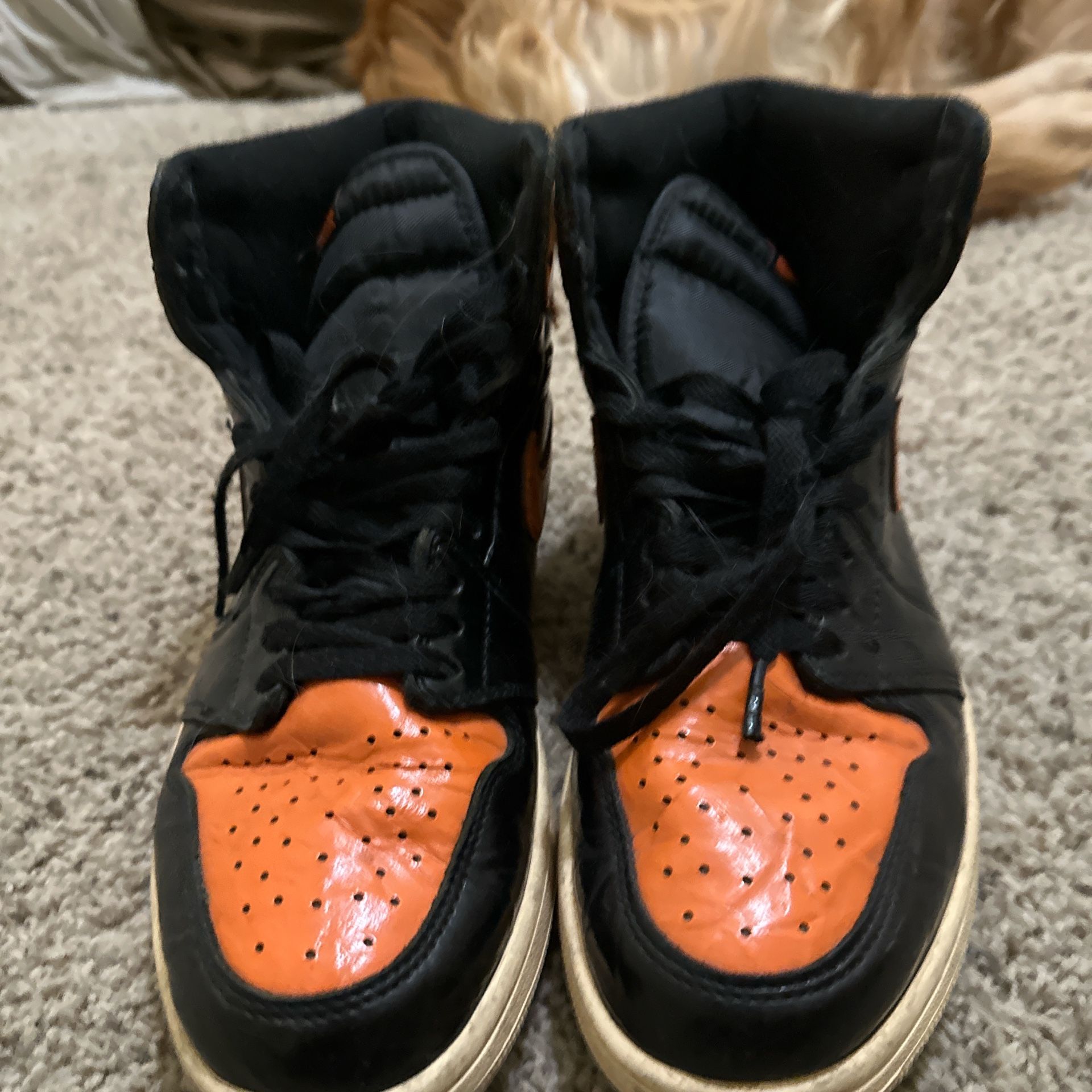 Jordan 1 High Shattered Backboard