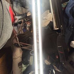 Aquarium Light