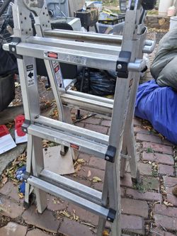 Gorilla Ladder 50 bones