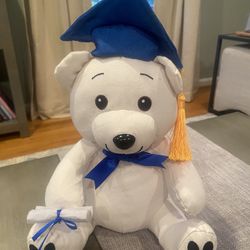 Grad Bear 