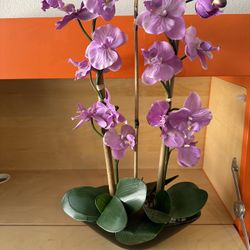 Fake Orchid Plant In Ceramic Pot With Rocks