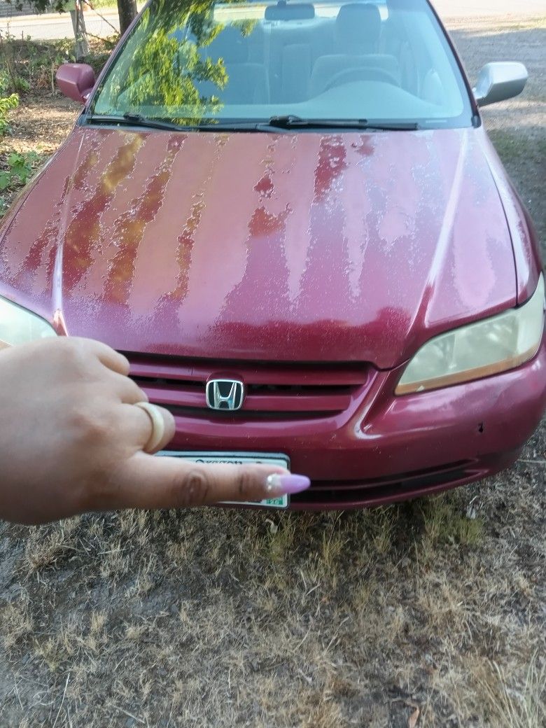 2001 Honda Accord