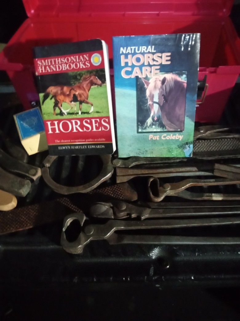 Horse Shoeing Tools