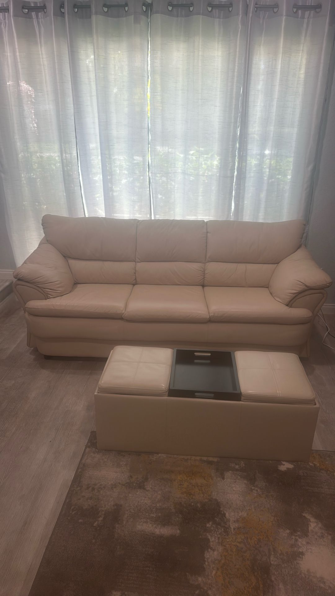 Sofa and Ottoman