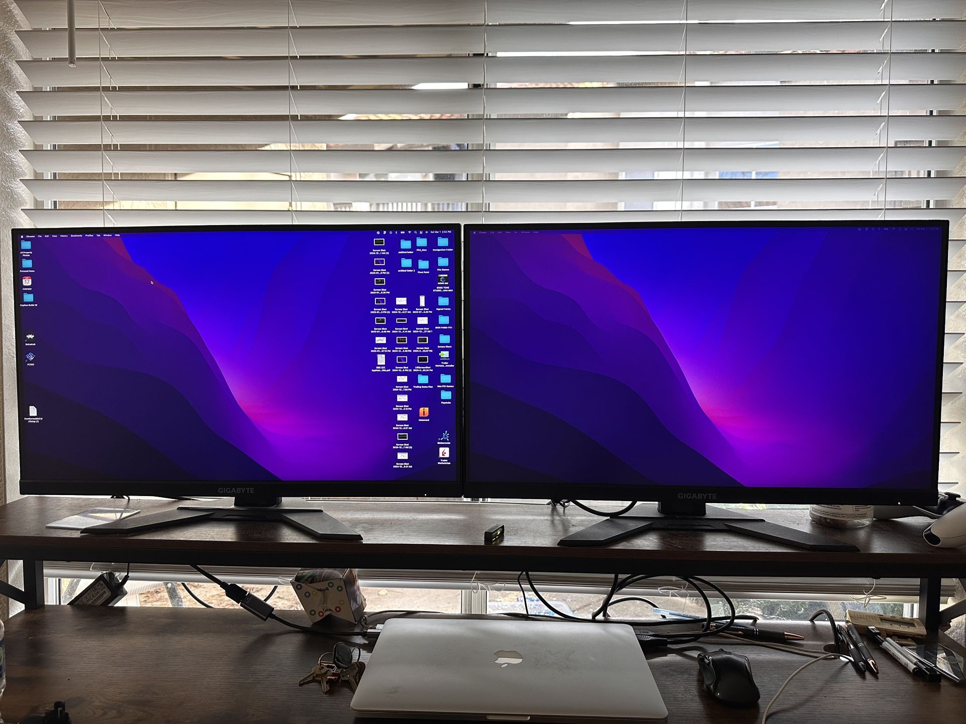 Dual Gigabyte Monitors 
