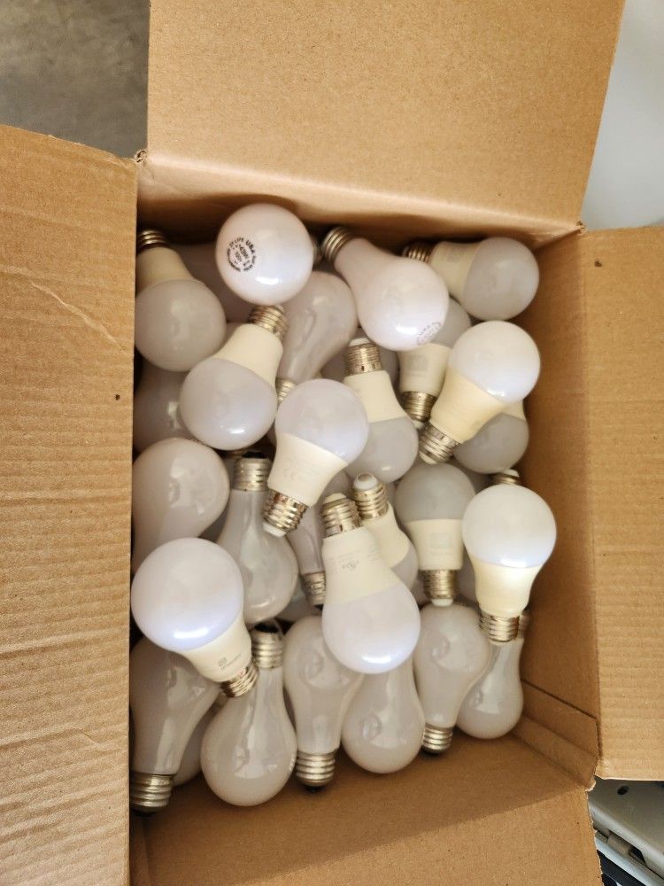 Box of Light Bulbs