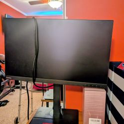 Monitor For $100