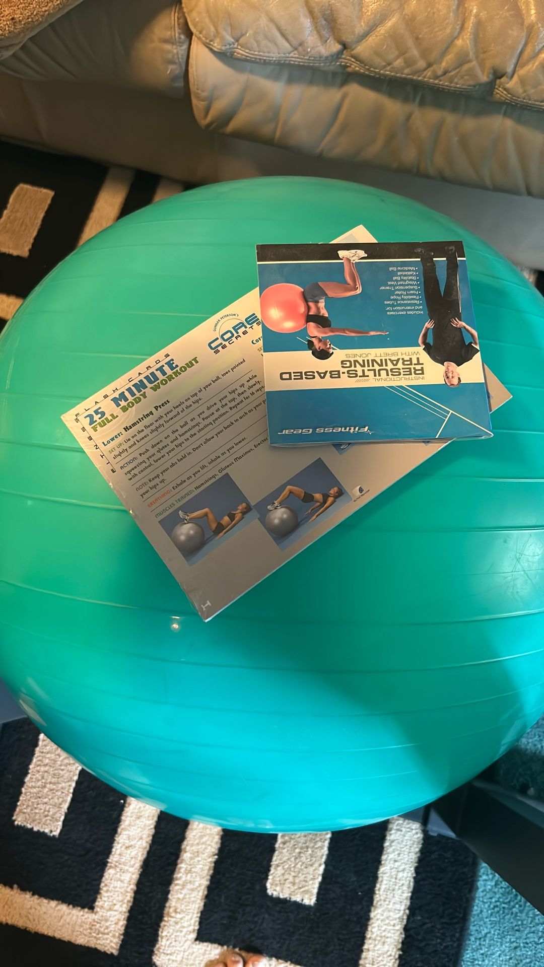 Exercise Ball With DVD