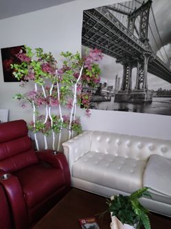 White Sofa With 2 White Picture 