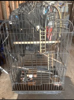 Bird Cage