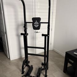 Pull Up/Dip Station