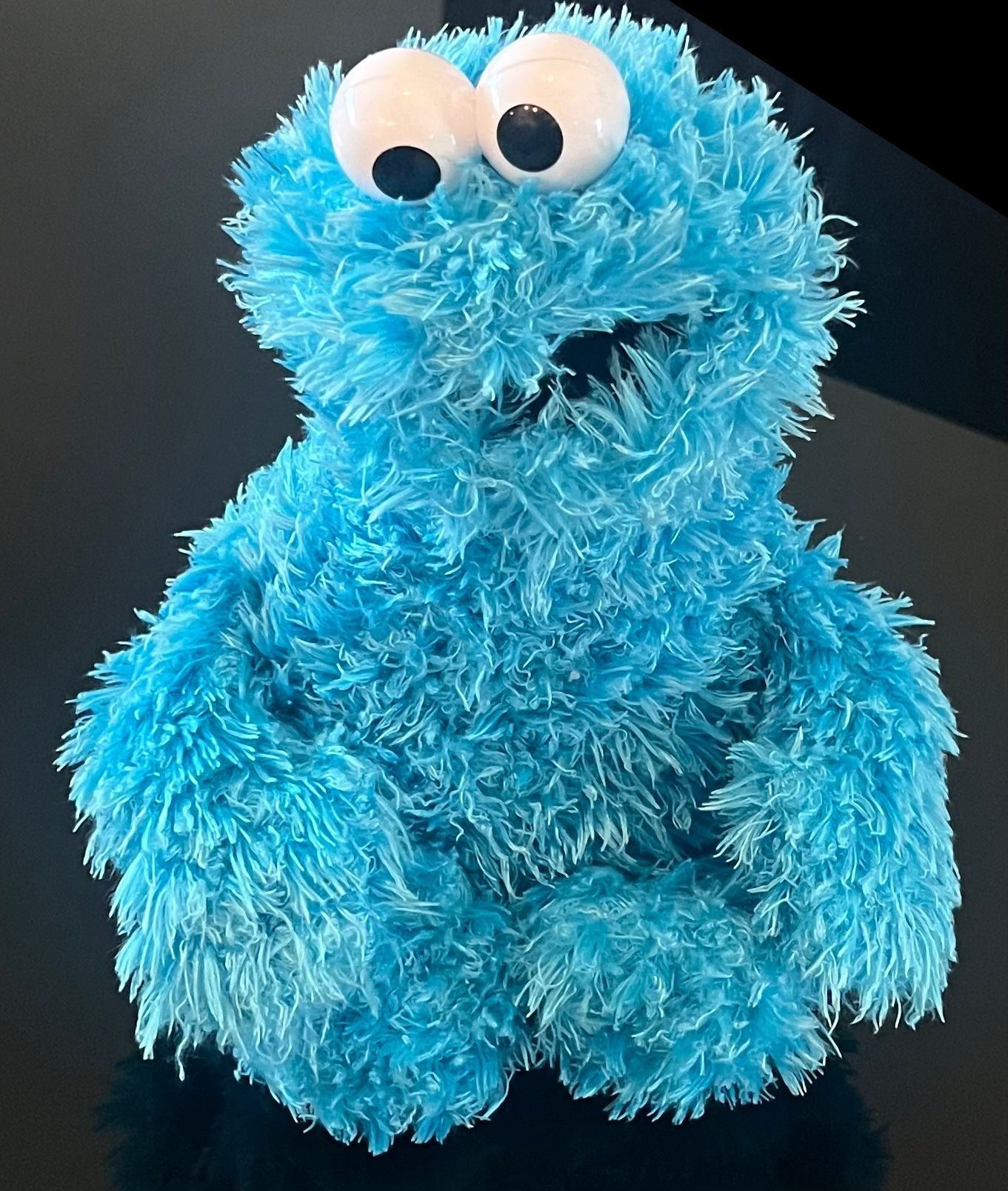 Sea World Busch Gardens Cookie Monster Plush Sesame Street 16"