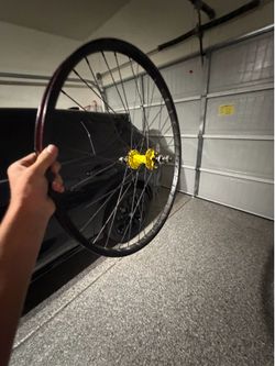 throne 29er rim
