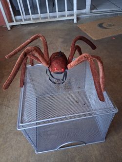 Halloween Spider Decoration