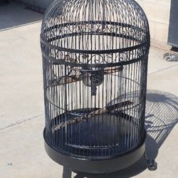Bird Cage 100