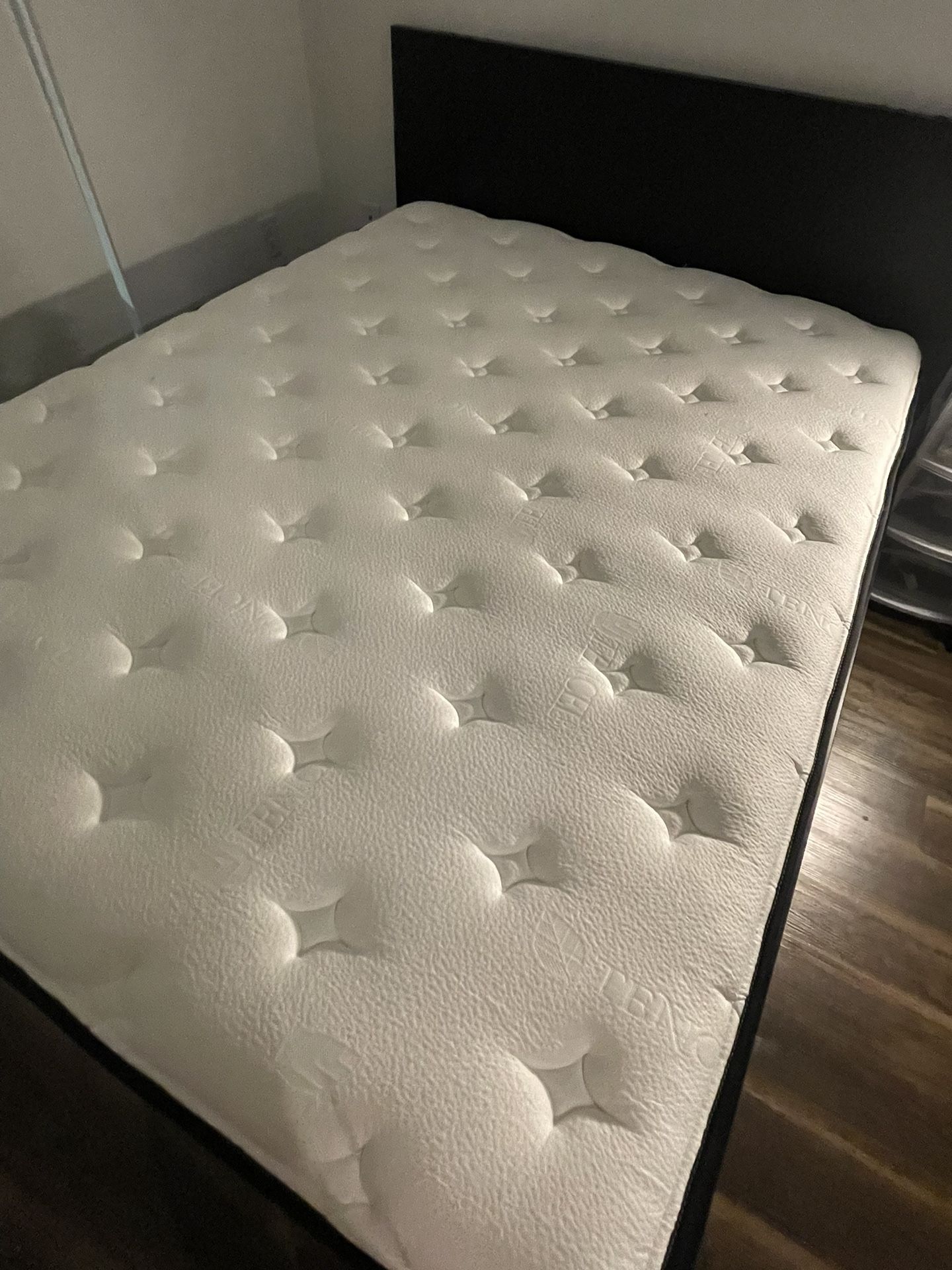 Brand New Queen Bedframe And Mattress