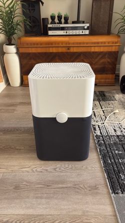 Blueair Air Purifier