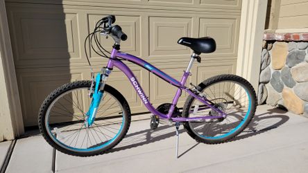 Schwinn atlas 24 top