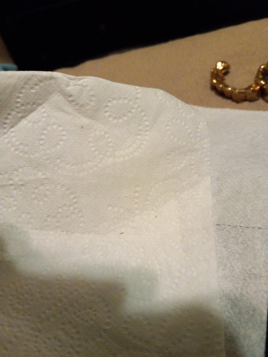 Paper 