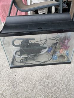 10 Gallon Fish Tank With Accessories