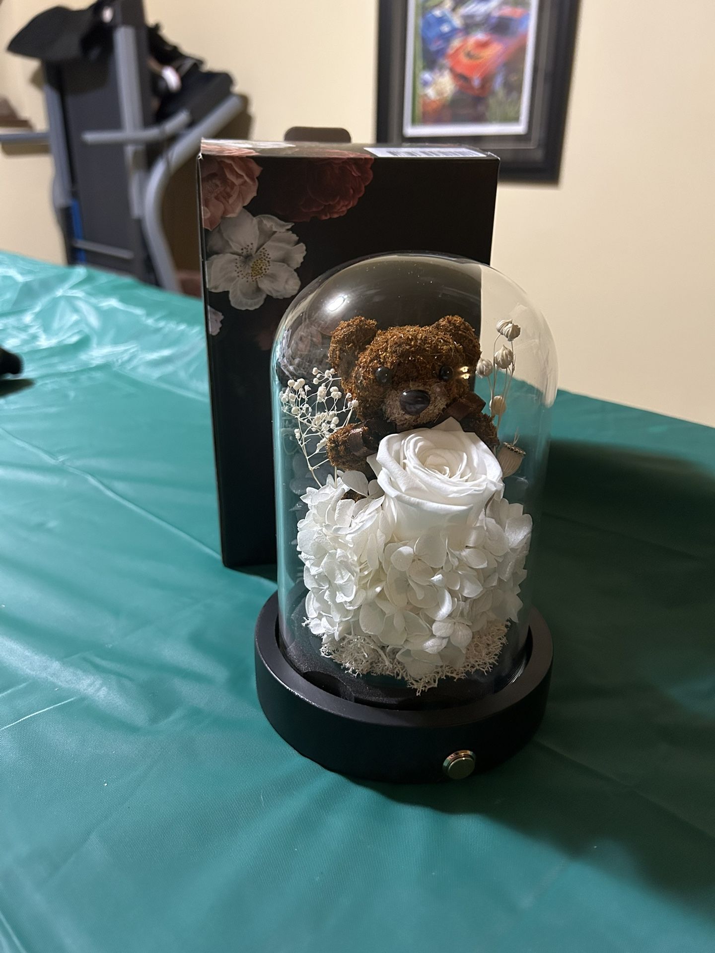 New Very Cute Light Up Bear