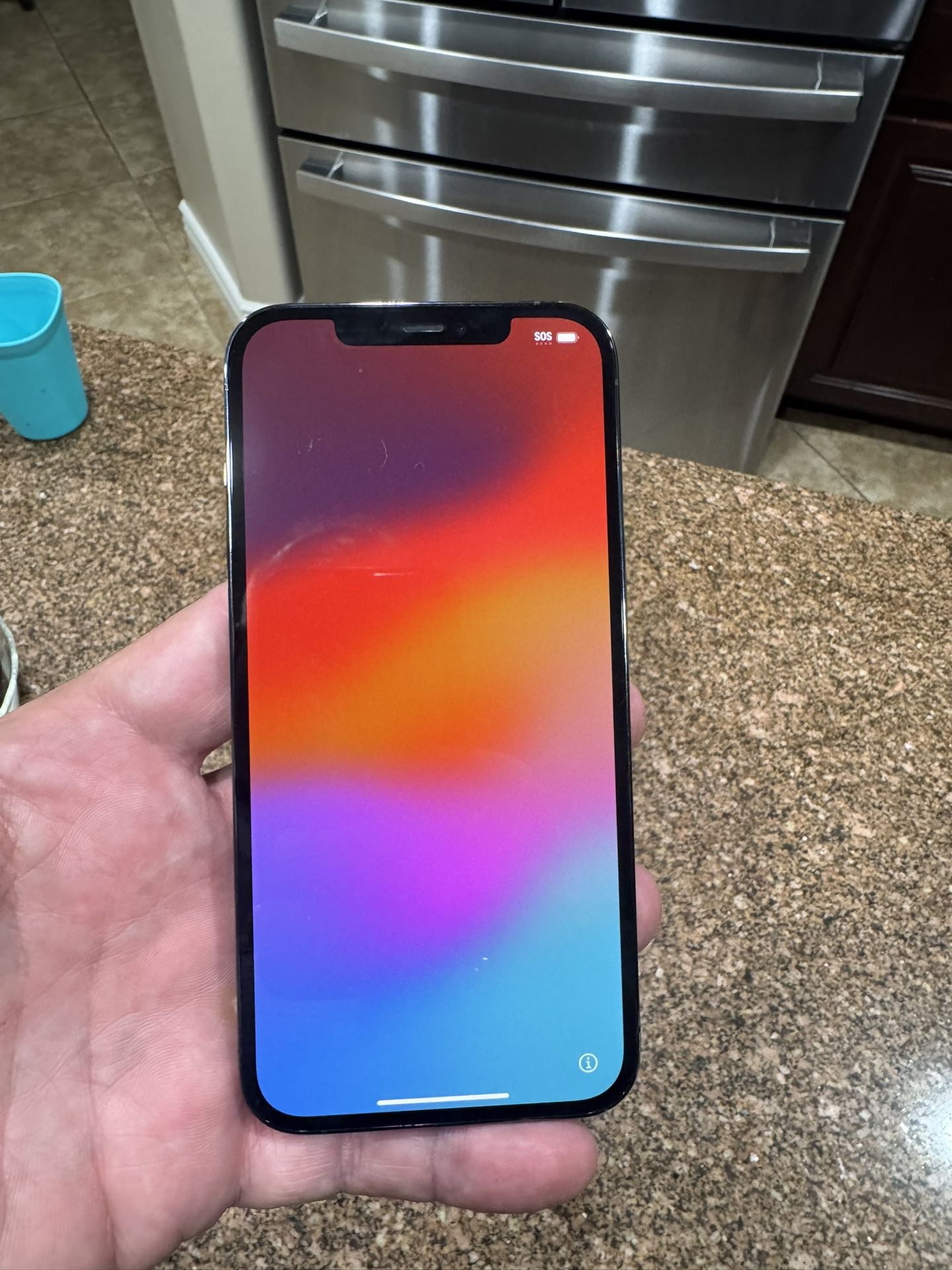 iPhone 12 Pro Max (256)