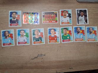 Fifa World Cup Panini
