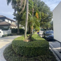 Modern Landscapes