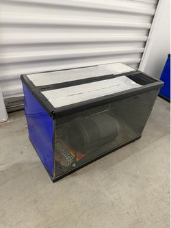 10 gallon reptile tank