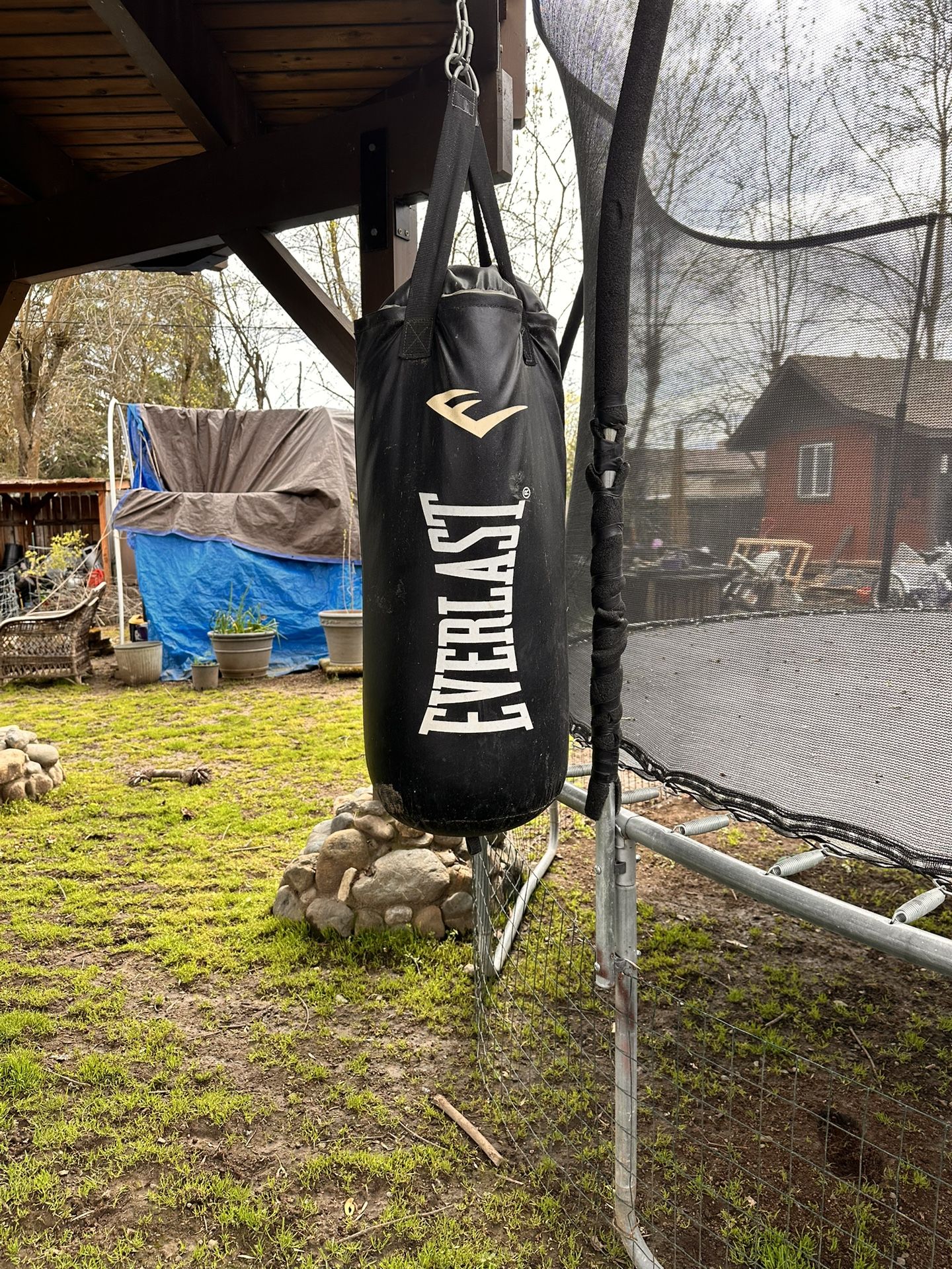 Everlast Punching Bag with Stand