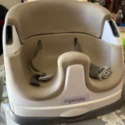 Ingenuity Booster Seat
