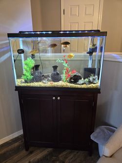 30 Gal Aquarium With Stand