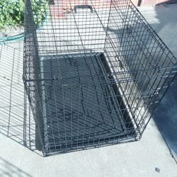 Dog 🐺 Crate XL 