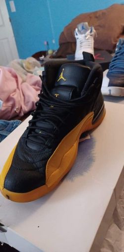 University Gold 12s