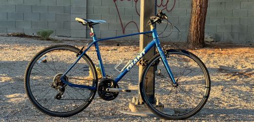 Giant Escape hybrid/fitness bike — Size Large