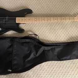 Bass Guitar & Carry Bag