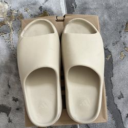 Yeezy Slides Bone Size 12