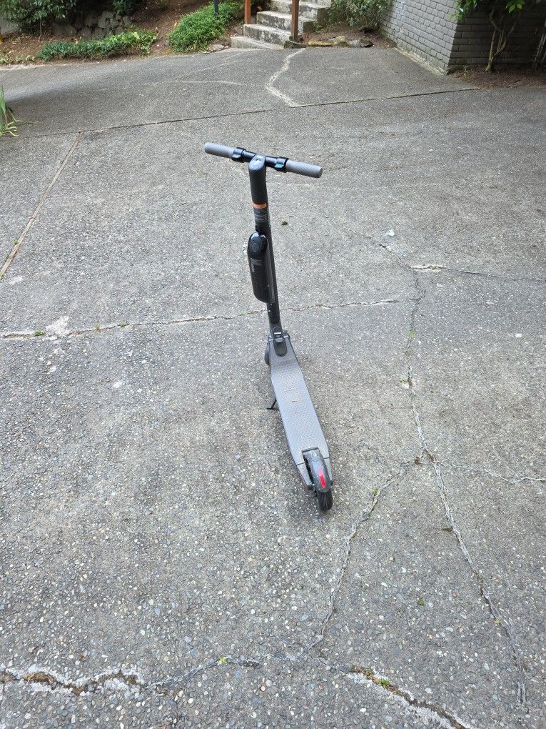 Segway Ninebot Scooter