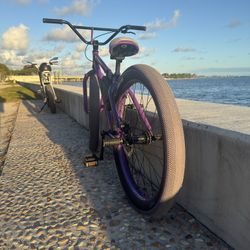 Se Bikes Maniacc flyer 