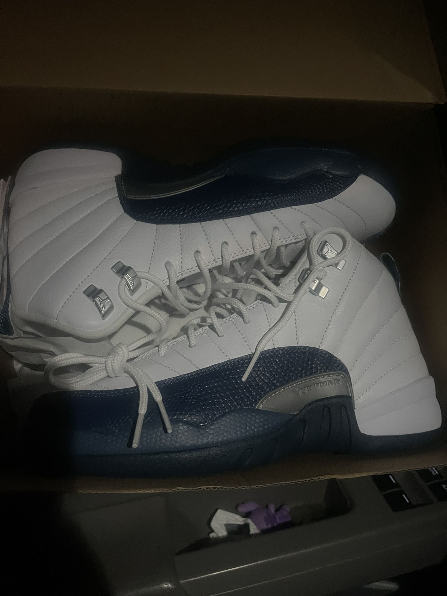 Brand New Jordan 12s 